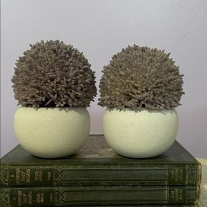 Elegant ivory  and purple Decorative Spheres -